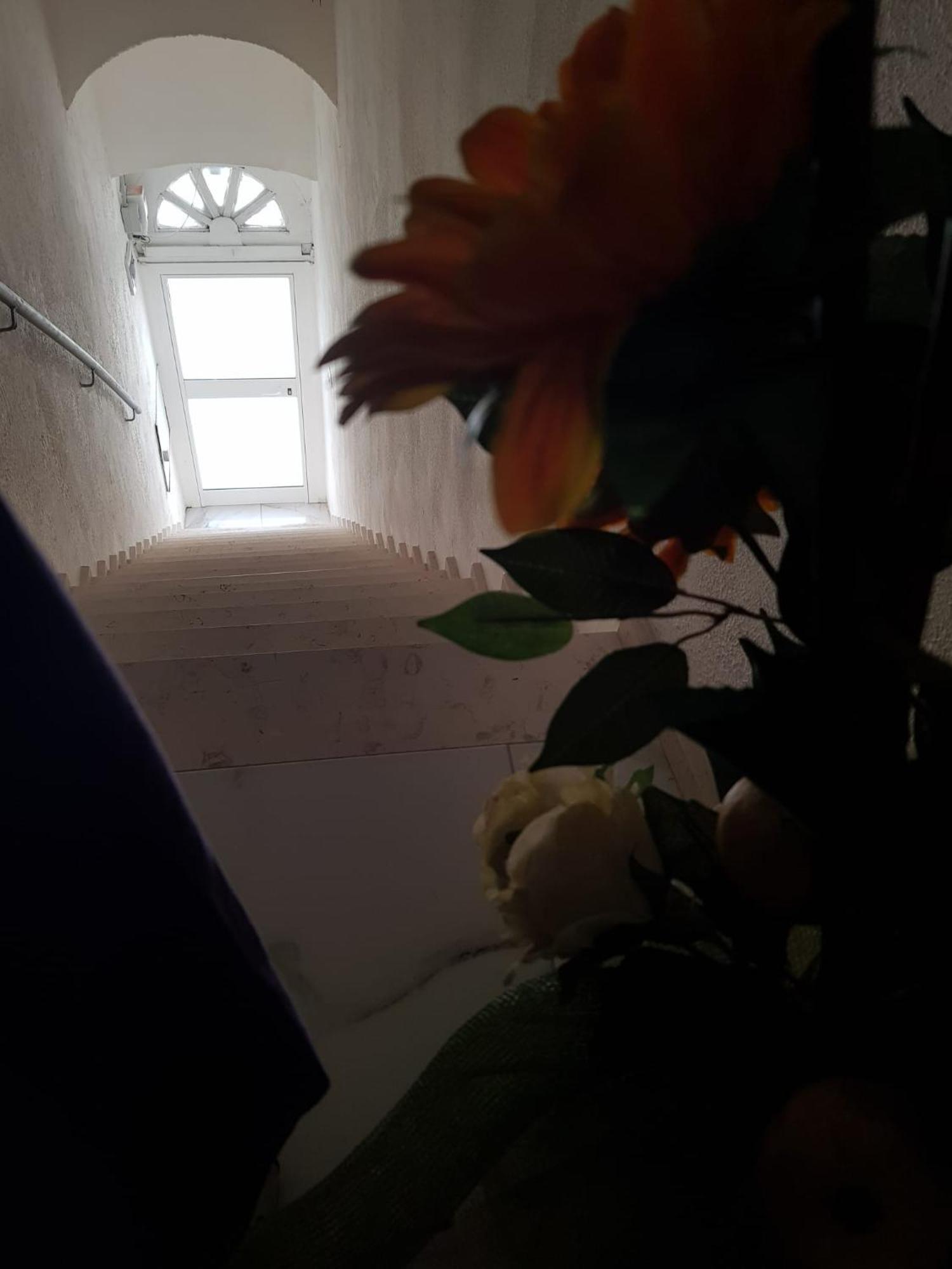 Di Fronzo Guest House T Triggiano Exterior photo